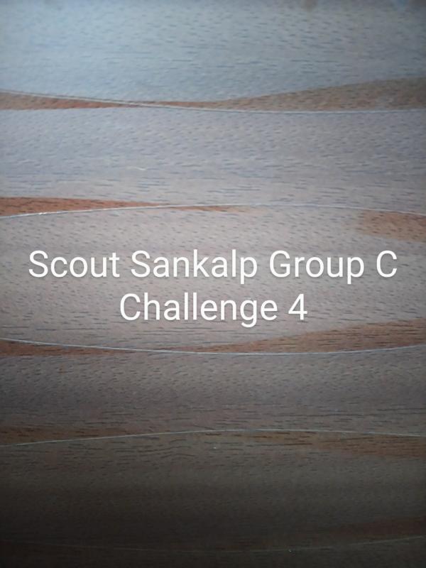Scout Sankalp Group C Challenge 4 #Dinner In The Dark (BSG,Karnataka, District Association Of Udupi)