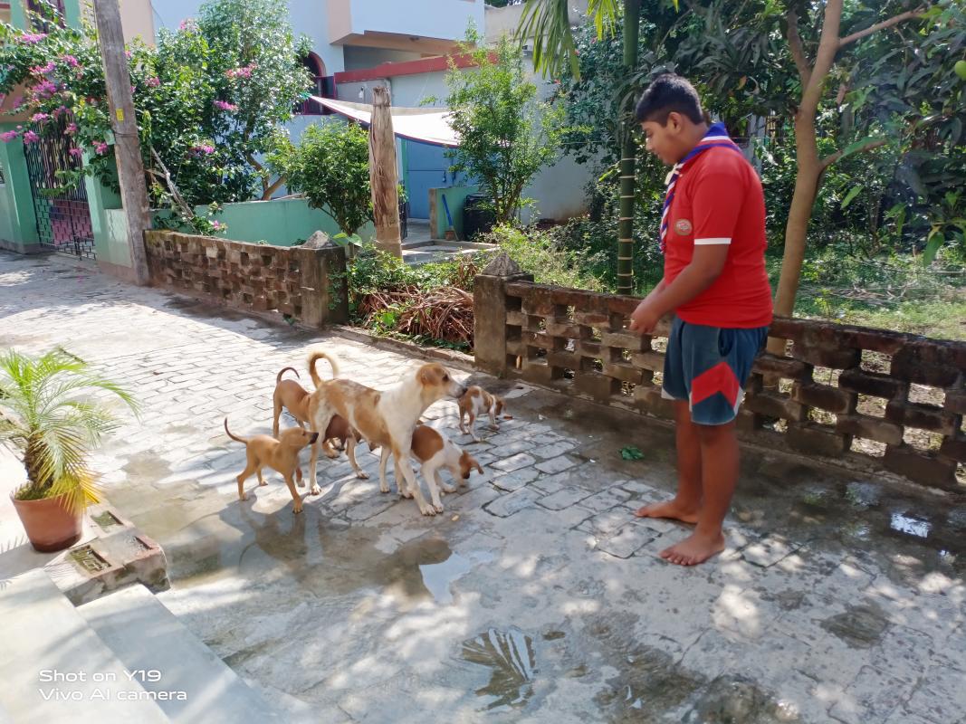 FEDDING ANIMAL IN OUR HIS QUARANTINE 