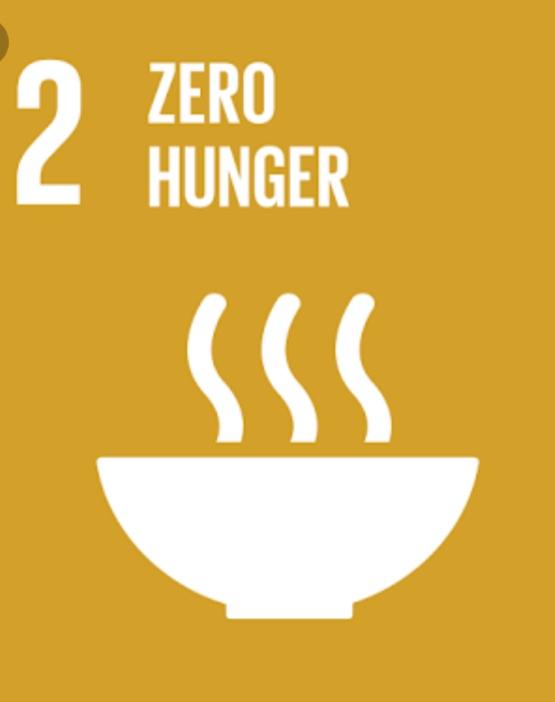 food distribution/covid-19/ zero hunger
