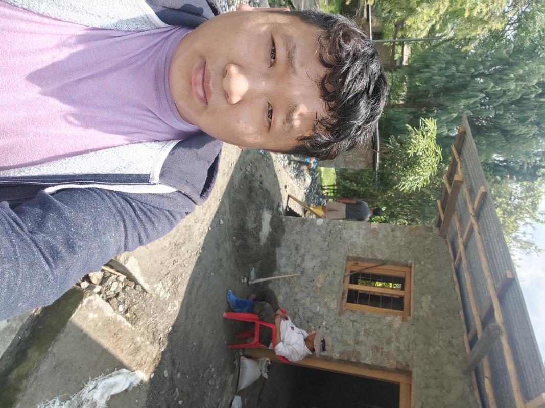 Green tree plantation 