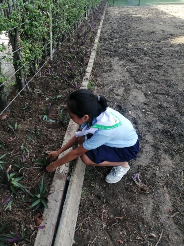 จิตอาสา