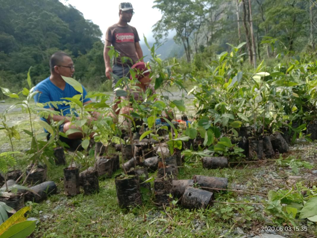 Transportation of siblings 