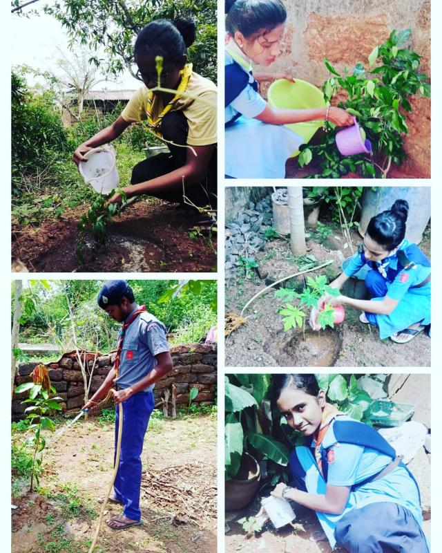 world environment day 2020