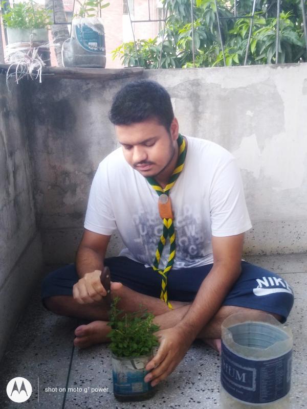 বৃক্ষরোপণ ও পরিচর্যা