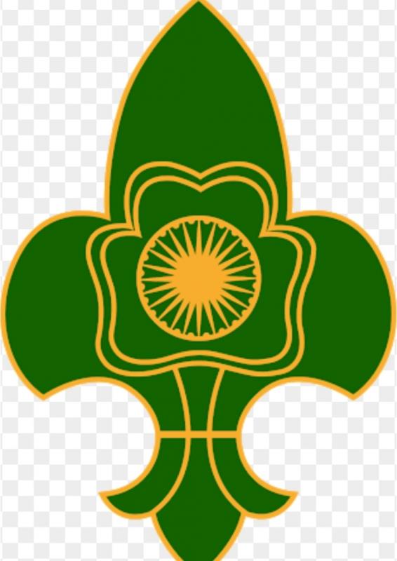 Tree plantation program

