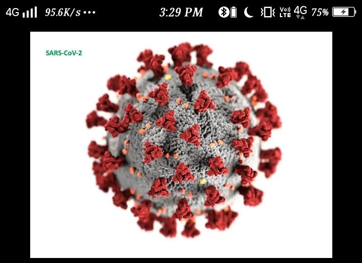 Knowledge about Covid 19