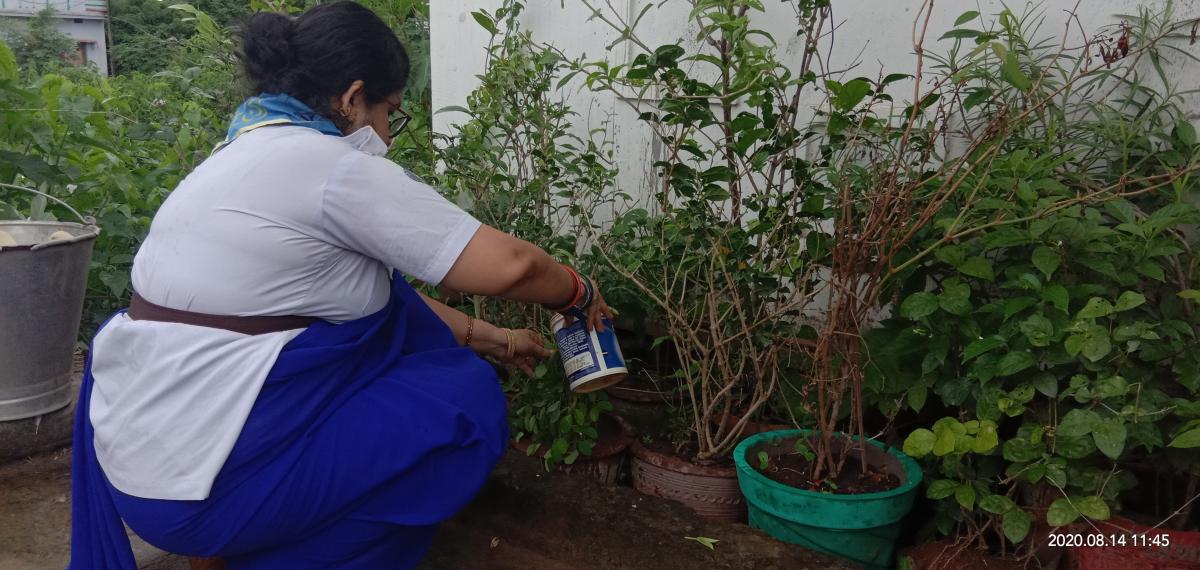 ##championsfor nature##earthtribe##kitchengarden##BSGindia##