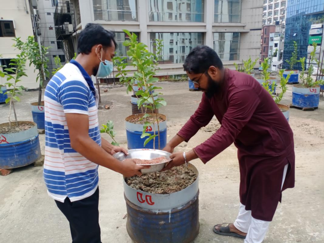 বৃক্ষ রোপণ কর্মসূচি 