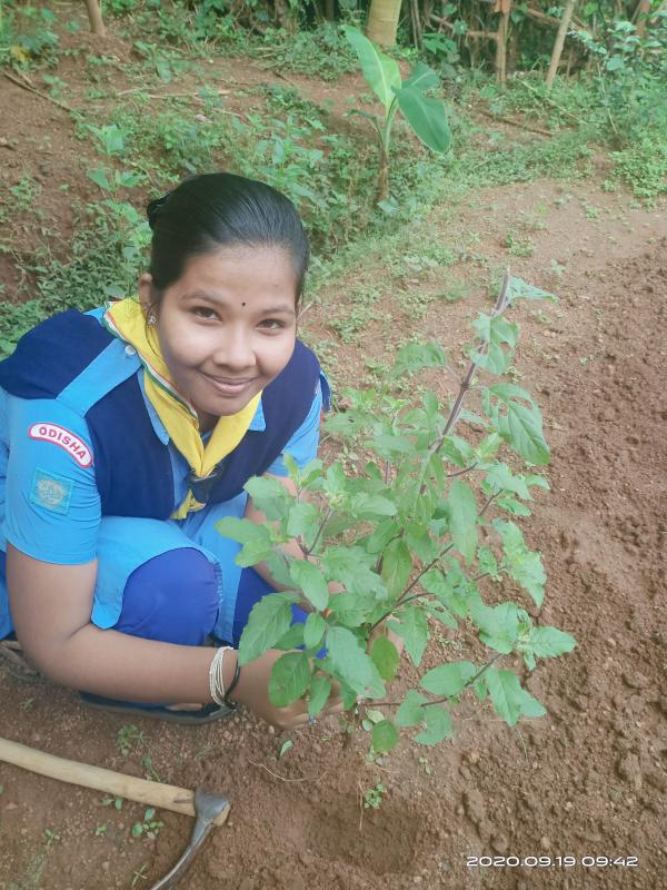 Activity 8.9(plant a tree)