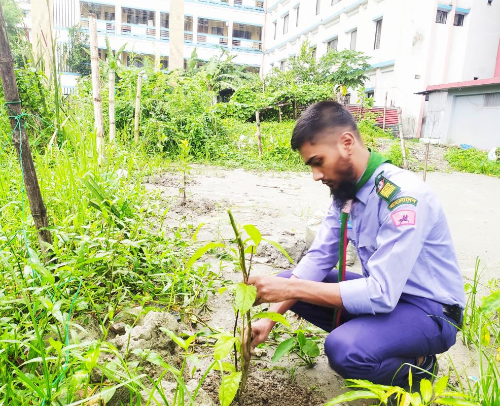 বৃক্ষ রোপণ 