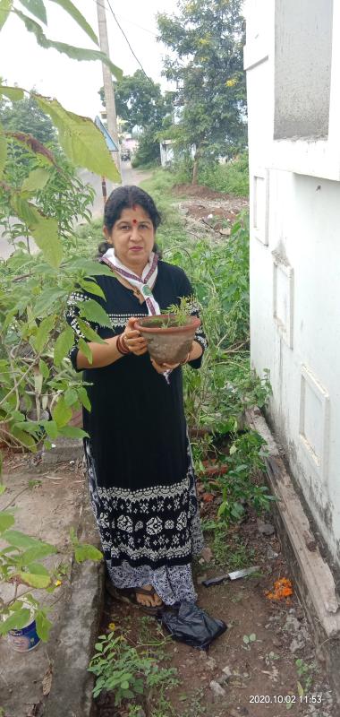 ##goodturn##October 2nd##treeplanting##saveearth##unit leader s. b. sc. h. s. school Konisi Ganjam 