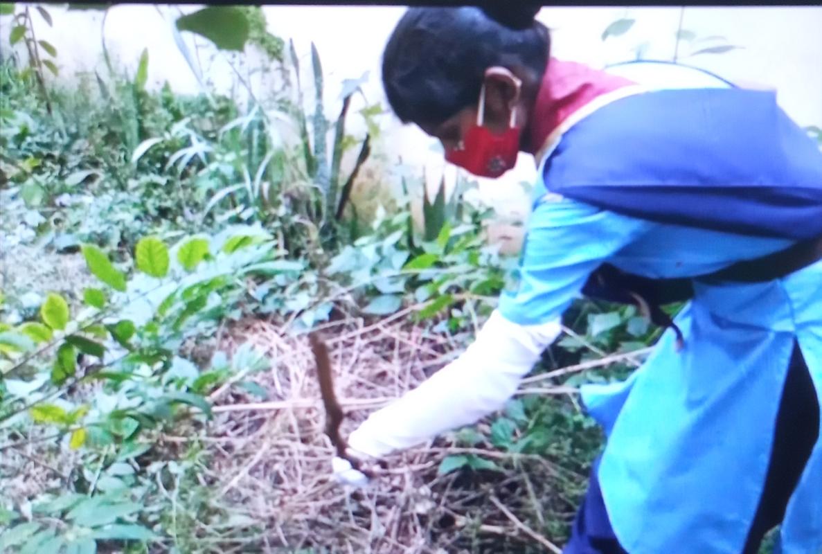 PLANT A TREE PLANT A HOPE