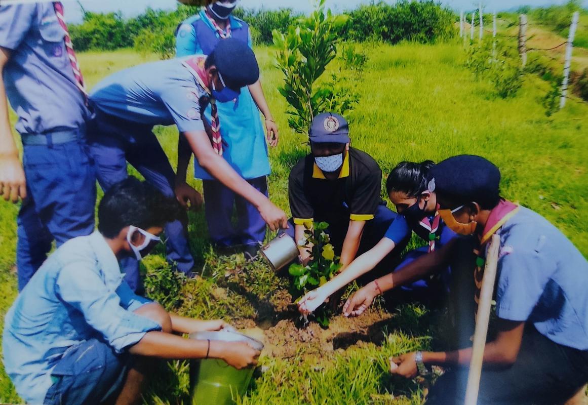 Make India Green