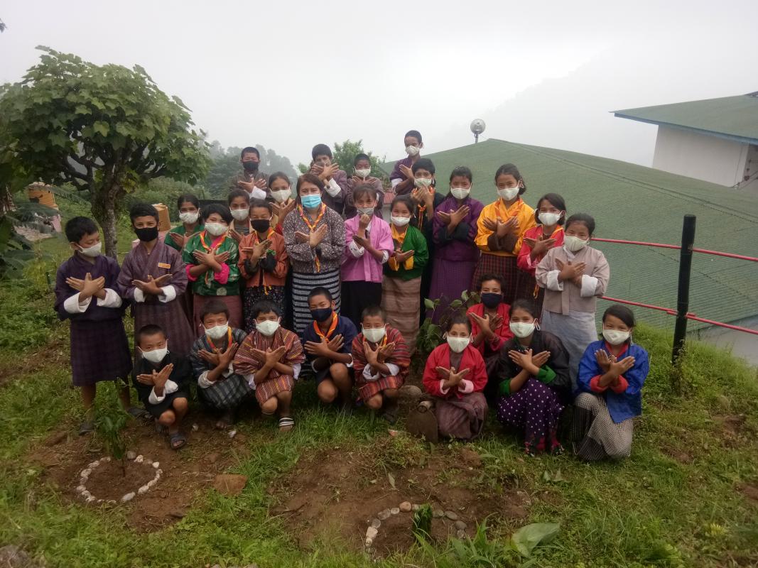 Tree plantation 