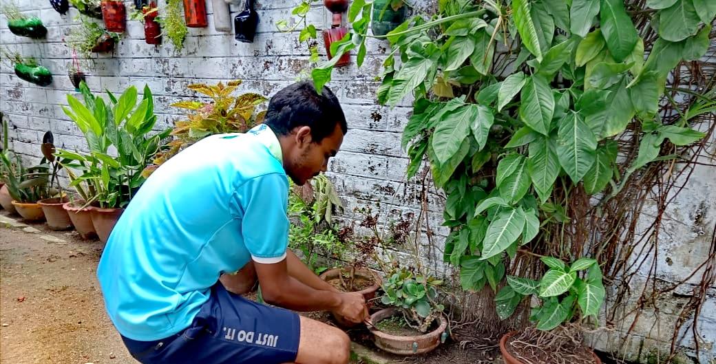5.Lockdown Garden (Sankalp Activitie) 