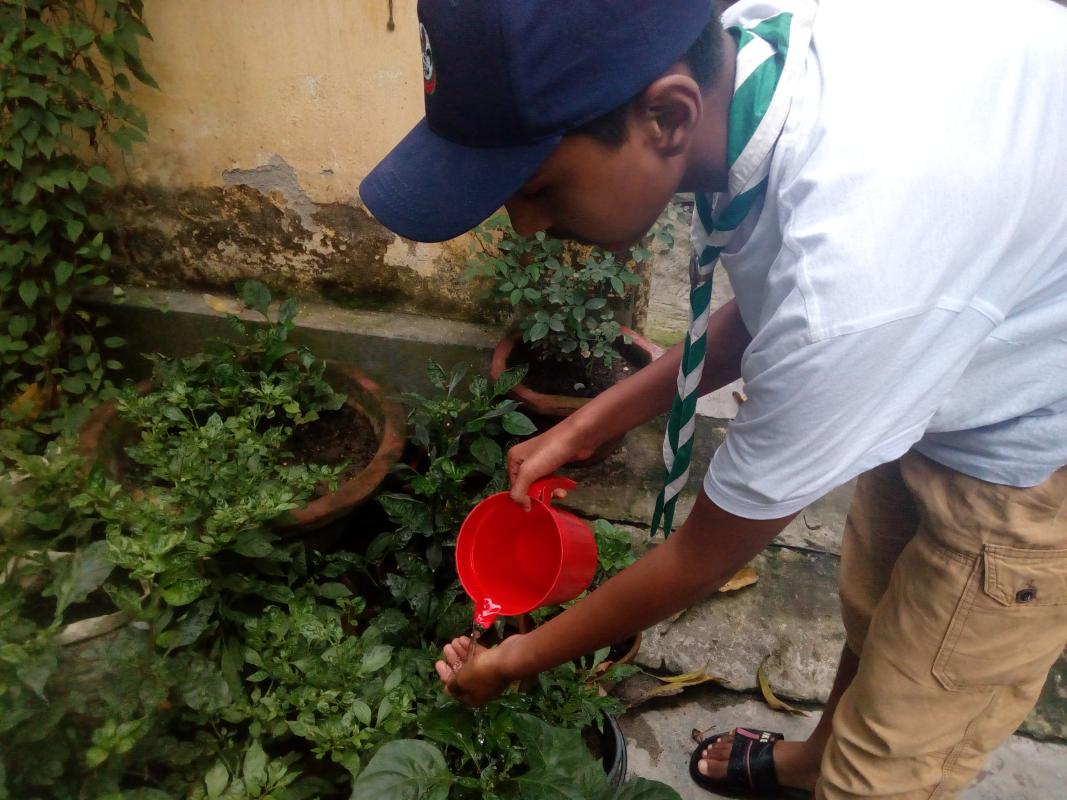 Gardening