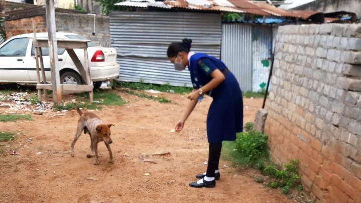 SANKALP 2.0 Activity 6 - Friend To Birds