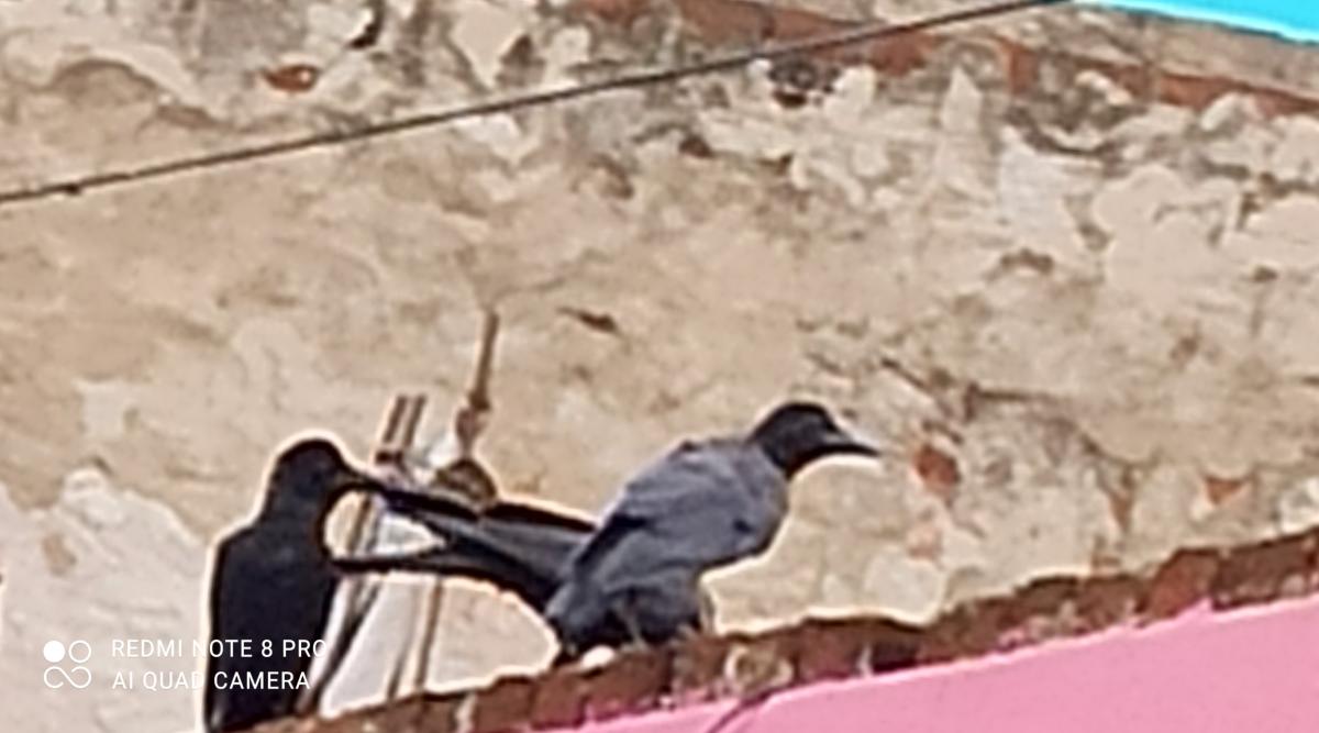 SANKALP 2.0 activity 6