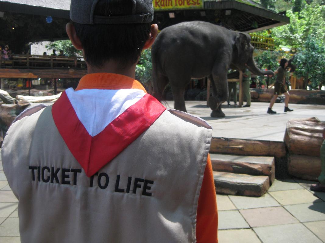 Ticket To Life Indonesia, Education Tour To Safari Zoo Indonesia