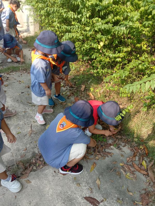 สำรวจสิ่งแวดล้อมและเก็บขยะ