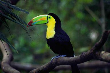 Heart& Minds..... Information for change