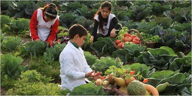 "Urban Agriculture"