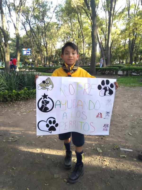 100pre ayudando a los perritos