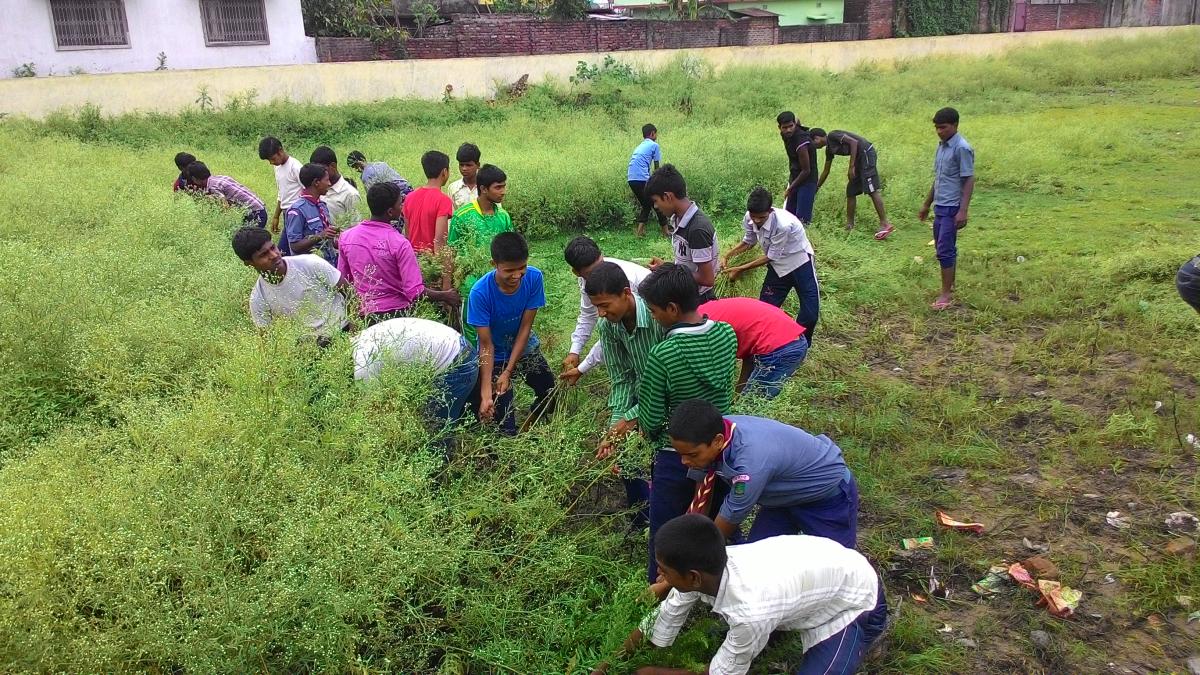 cleaning of garden 