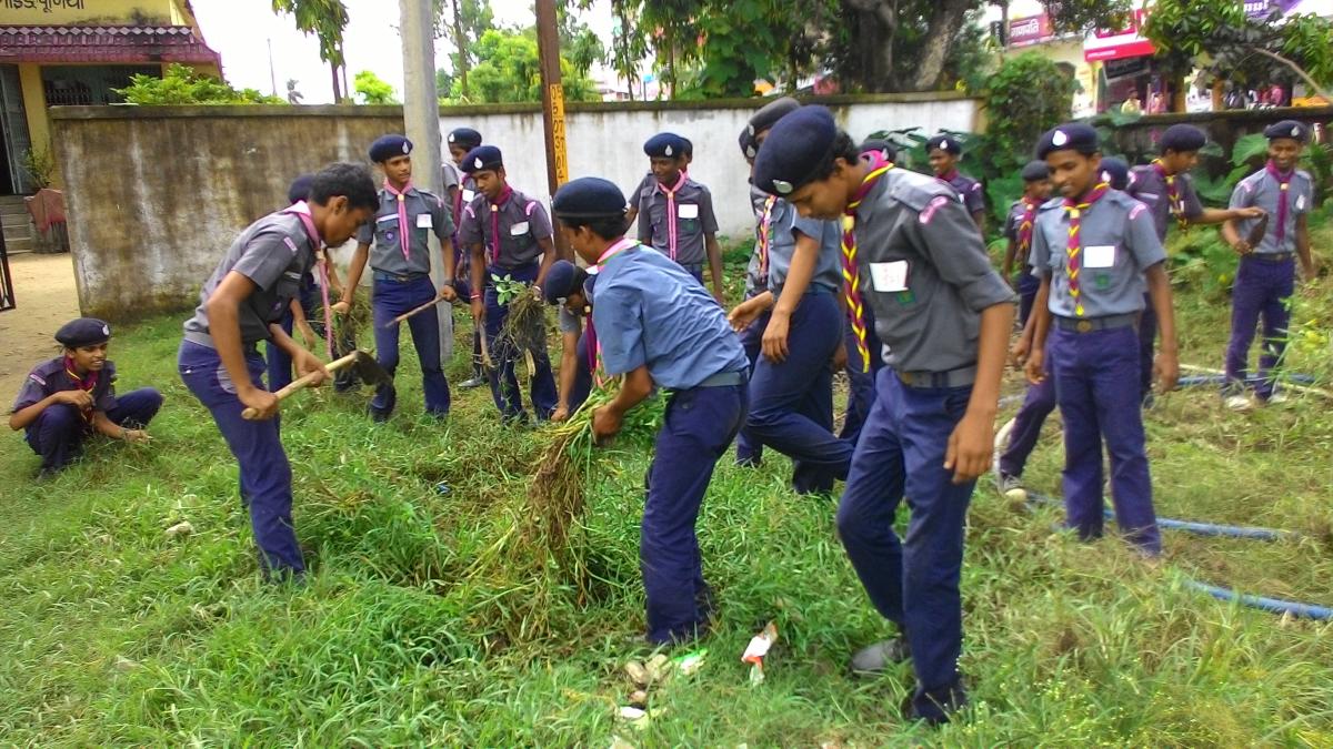 cleaning of garden 
