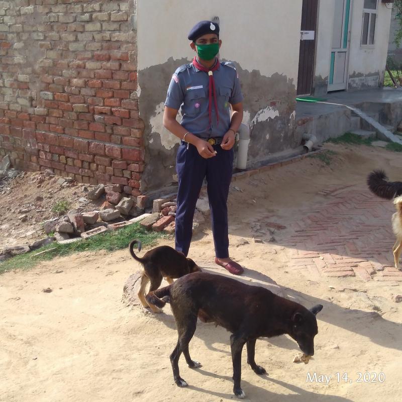 In this project,Me and my friends provided food to street Dogs so they do not die because of hunger.