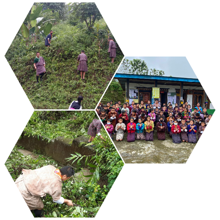 Scout cleaning campaign