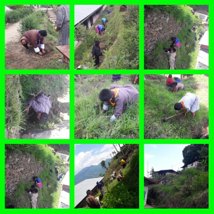 plantation