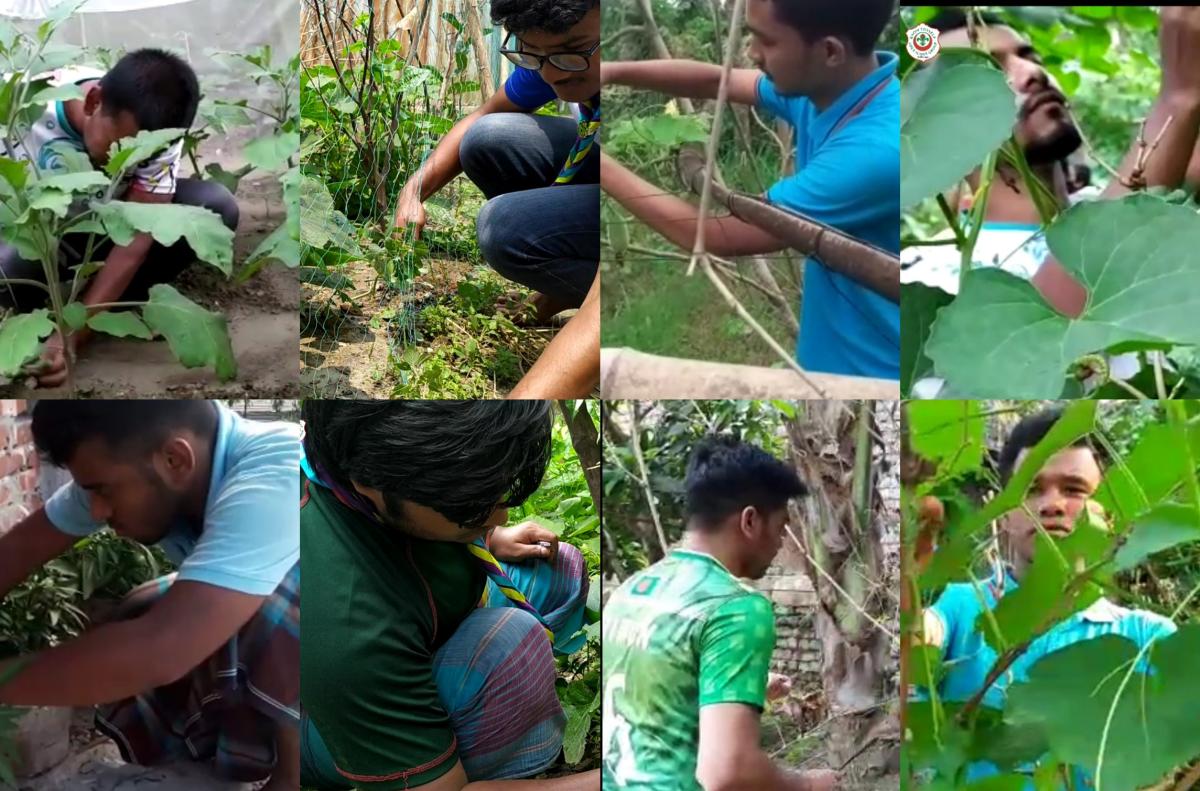 Cultivating vegetables besides home "Know Thyself Open Scout Group Dhaka" rover scouts