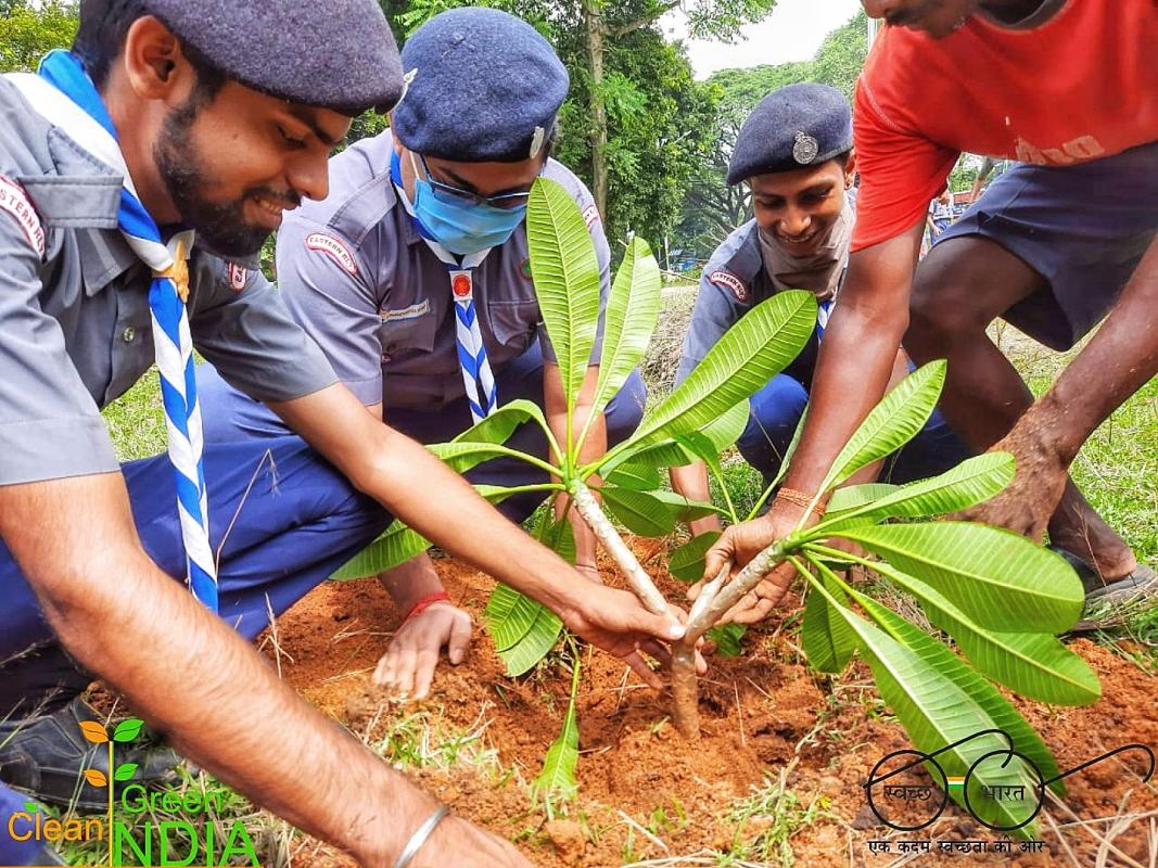 TREE PLANTATION (GREEN CITY)
