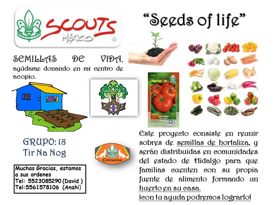 seeds of life semillas de vida