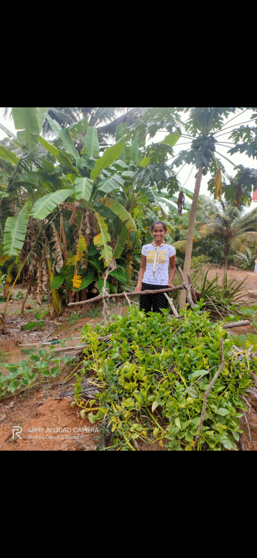 Challenge B- Go organic