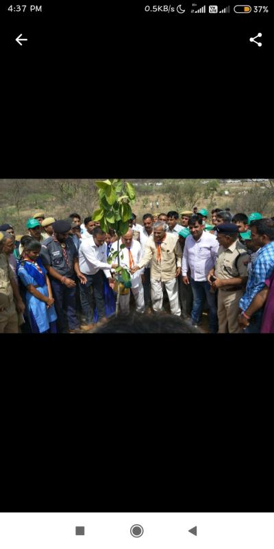 पर्यावरण दिवस पर पौधरोपण किया गया।