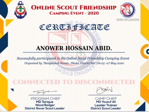Online Scout Friendship Camp Participation.