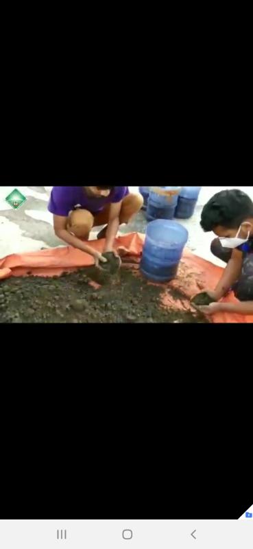 Tree  plantation on rooftops.