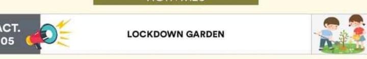 Sankalp project, Activity-5(Lockdown Garden)