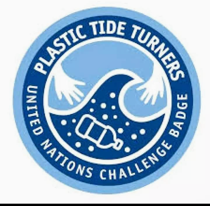 প্লাস্টিক টাইড টার্নার অরিয়েন্টেশন  