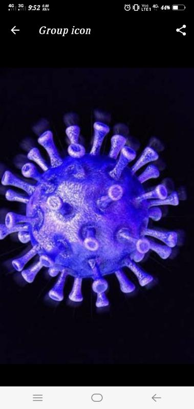 COVID - 19 PANDEMIC