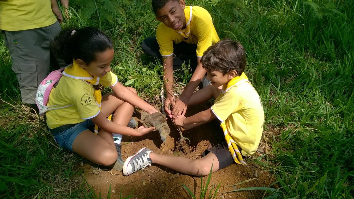 Plantio de Arvores - Trees For The World