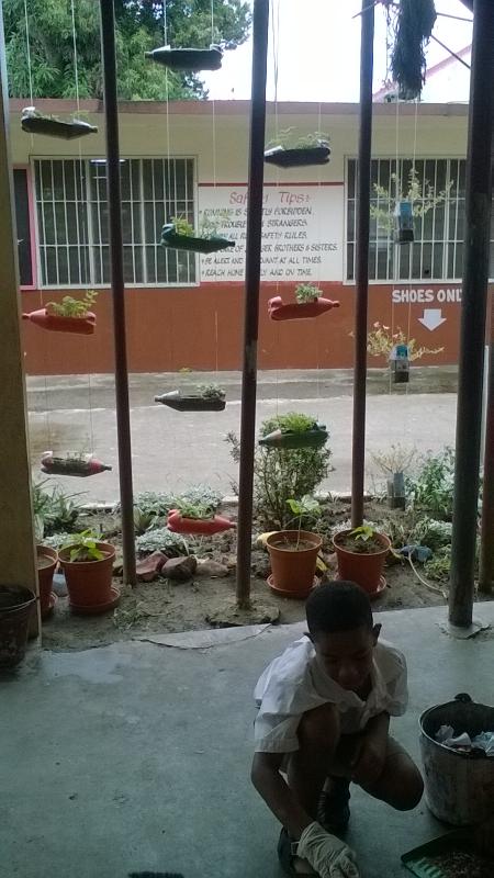  Vertical Hanging Garden - Eco-Friendly Pro (Nature Camouflaged)