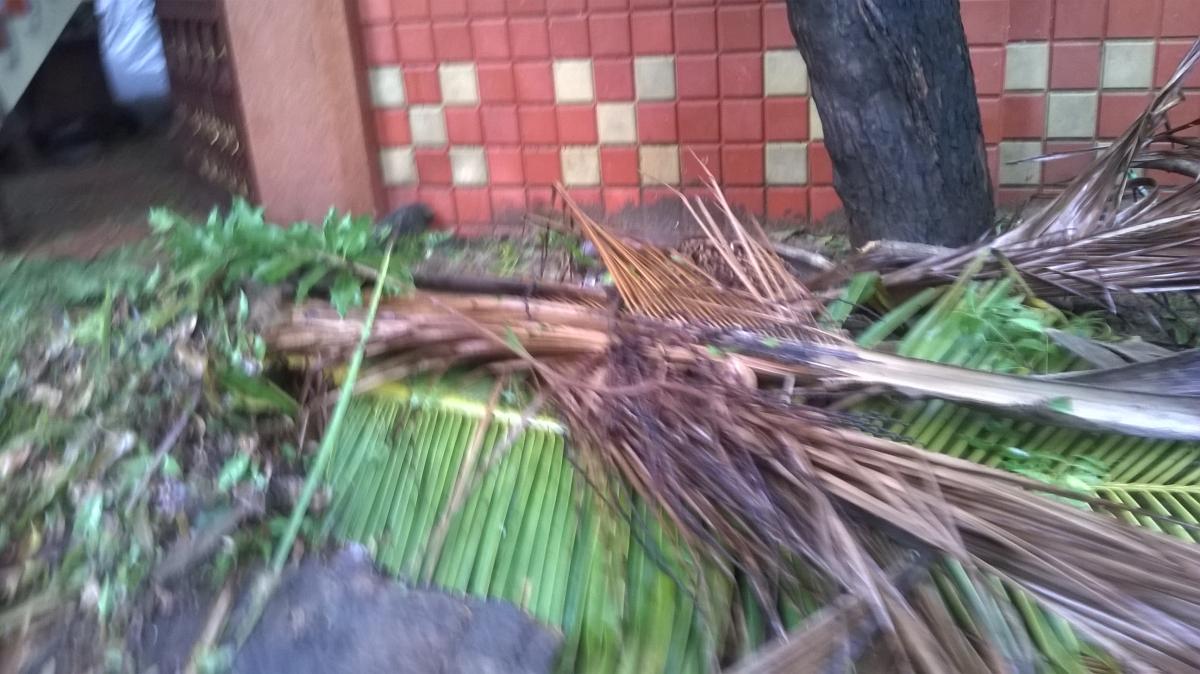 Vartha Cyclone & camp at Arumbakkam MMDA Govt.School