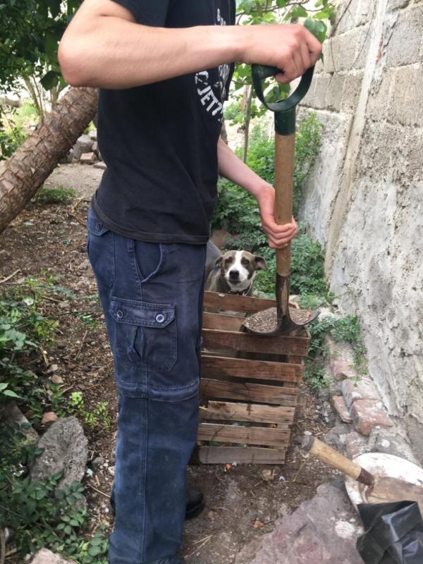 Canal de YouTube Ecológico