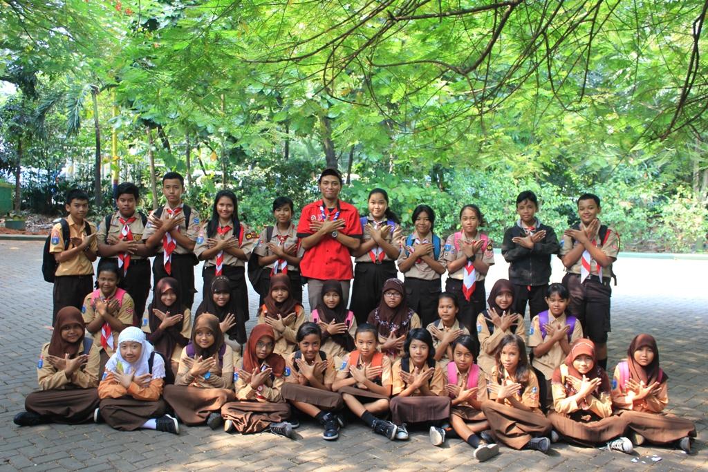 seven trees for seven dreams