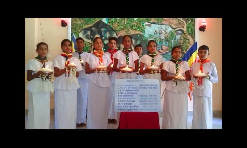 Scout Poson Celebration 2020