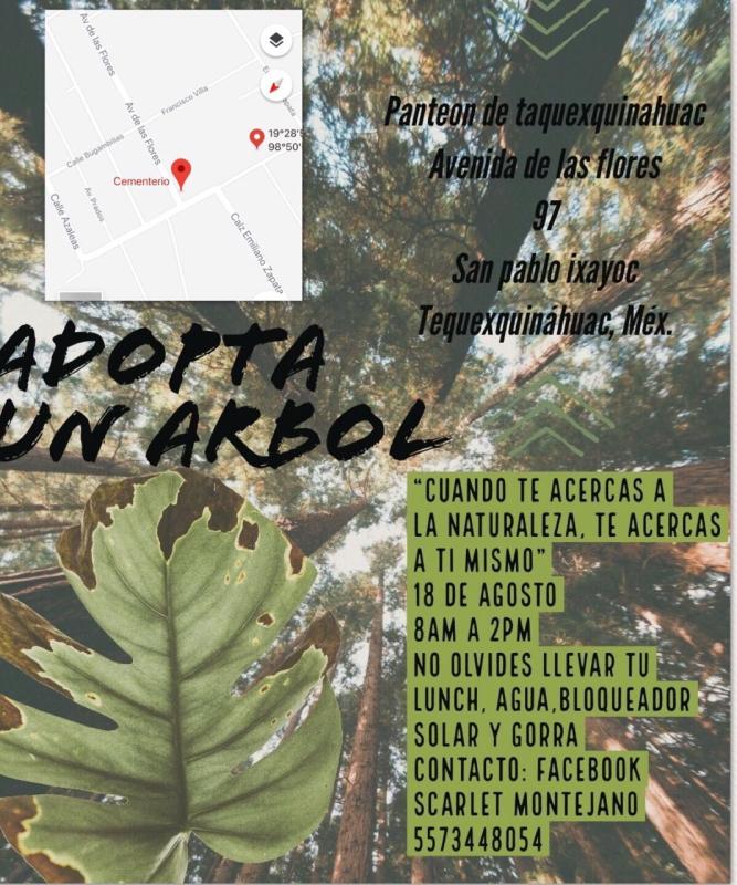 ADOPTA UN ARBOL