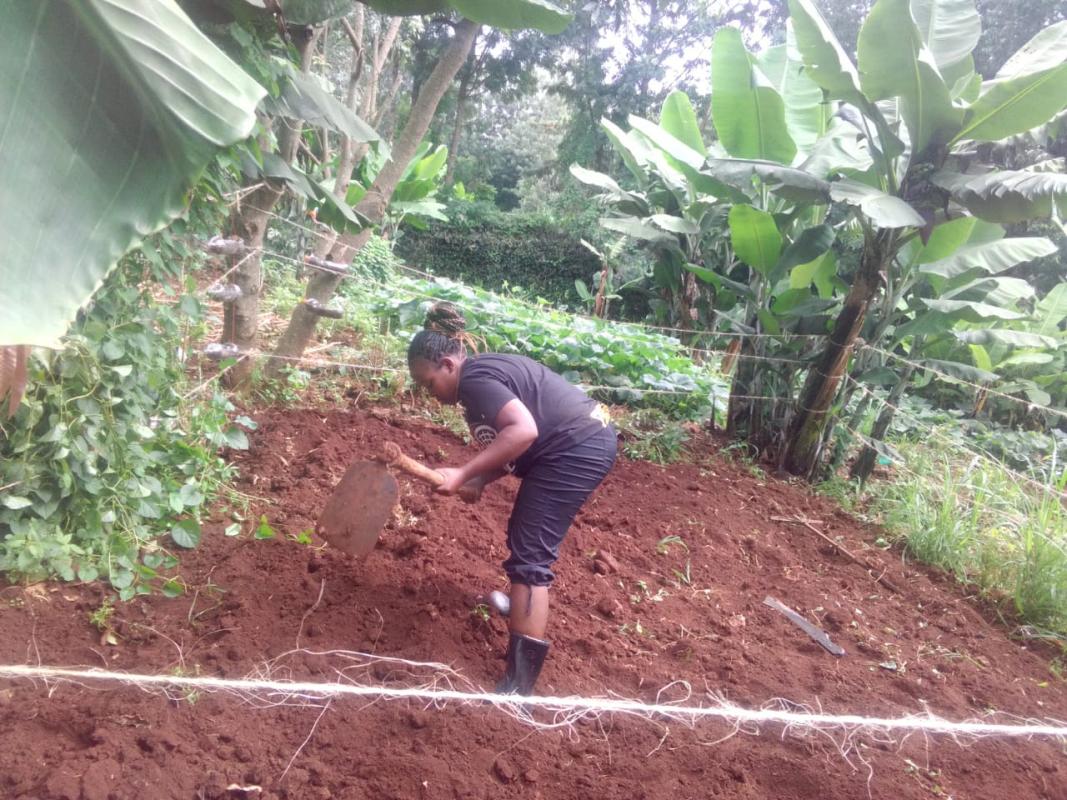 FOOD FOR LIFE PROJECT PHASE 1-KENYA